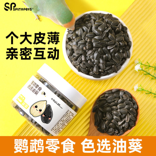 鹦鹉训练奖励油葵瓜子草籽鸟食