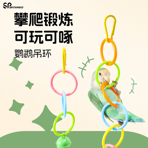 鹦鹉啃咬玩具解闷自嗨虎皮玄凤