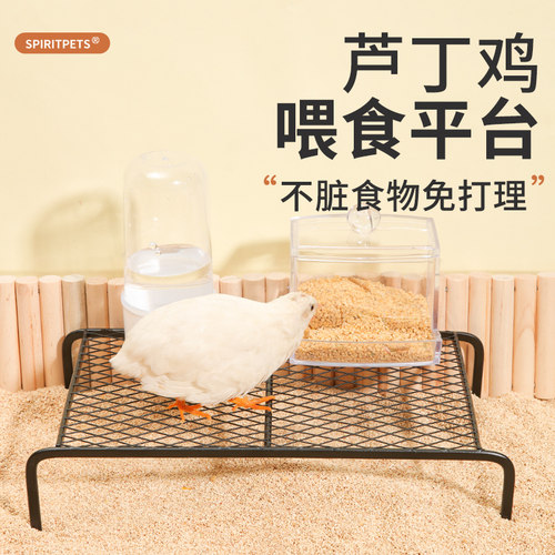 芦丁鸡造景用品喂食平台