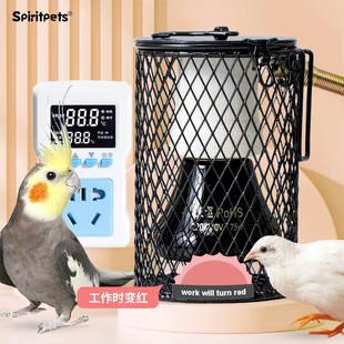 鹦鹉保温灯芦丁鸡兔子玄凤过冬保暖神器取暖灯鸟笼陶瓷加温防烫灯