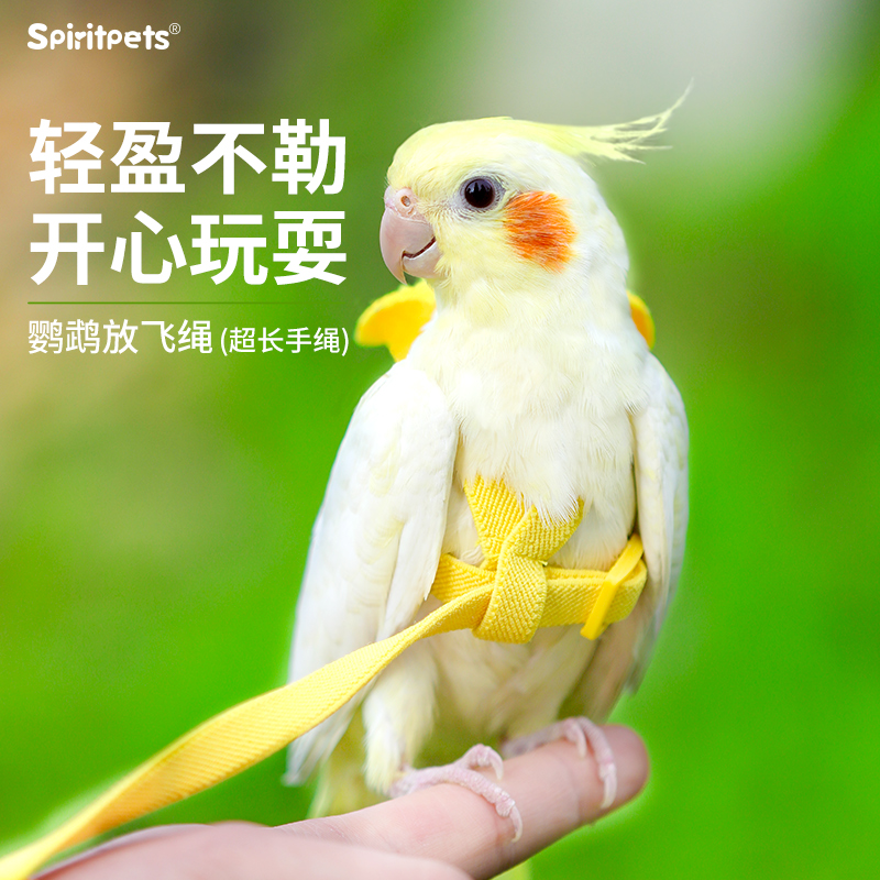 鹦鹉超轻放飞绳玄凤虎皮专用牵引绳飞行外出超轻背带溜鸟遛鸟神器