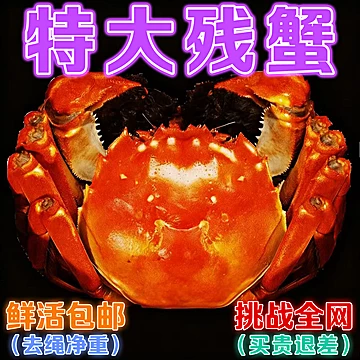 特大残蟹江苏精品大闸蟹断脚鲜活螃蟹净重