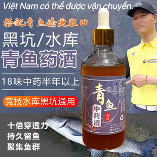 黑坑竞技青鱼中草药水库钓鱼药材配方饵料添加剂药酒青鱼青鲲