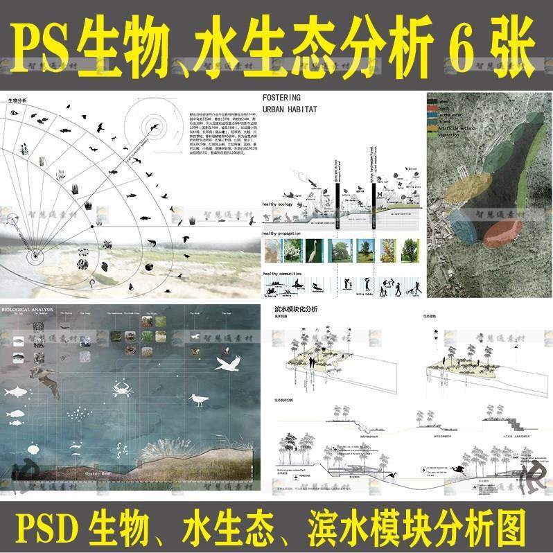 景观规划竞赛PS湿地生物水生态滨水模块分析图psd园林分层素材