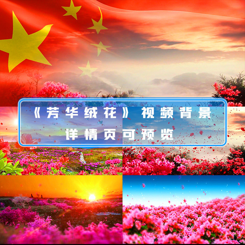 芳华绒花歌曲舞蹈民族映山红爱国红歌led大屏幕背景视频mv素材