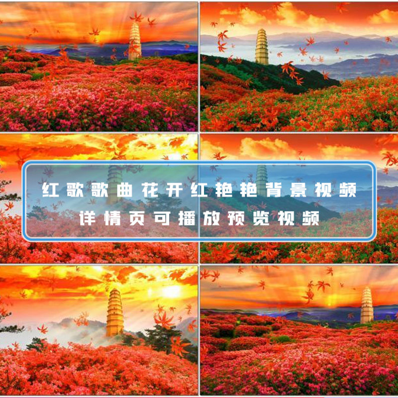红歌革命歌曲山丹丹花开红艳艳山丹丹花开med舞台背景视频素材