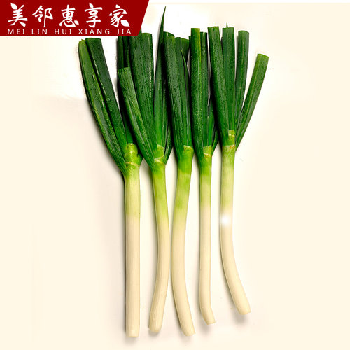 新鲜山东大葱葱白长多汁现挖现发