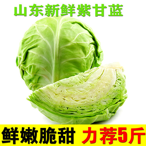 美邻惠享家新鲜青甘蓝现采现发