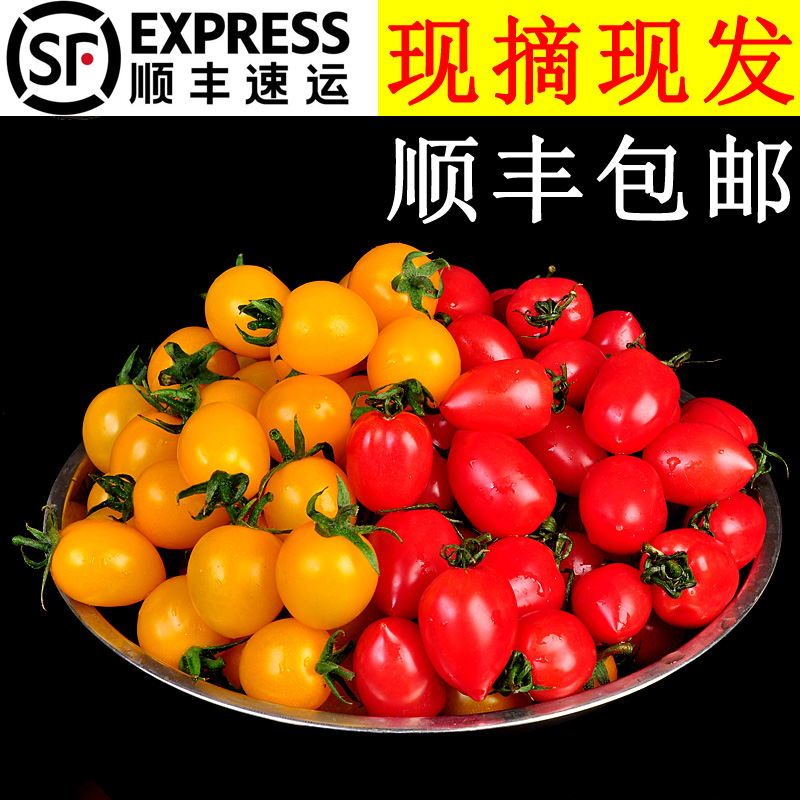 美邻惠享家红黄混色小番茄圣女果