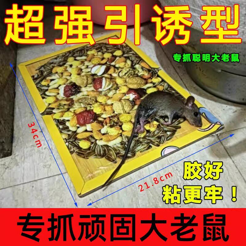 粘鼠板老鼠粘强力胶粘大老鼠专用捕贴超强家用扑捉器正品黏鼠神器