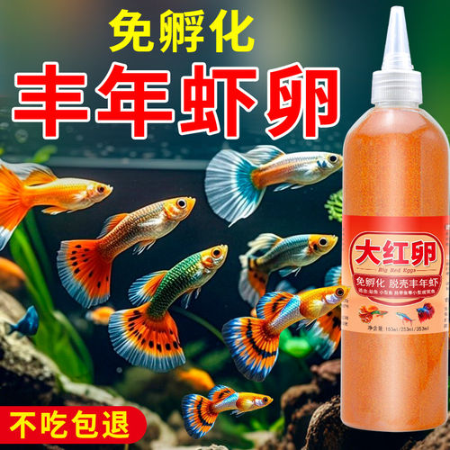 凤尾鱼小鱼幼鱼开口脱壳丰年虾卵