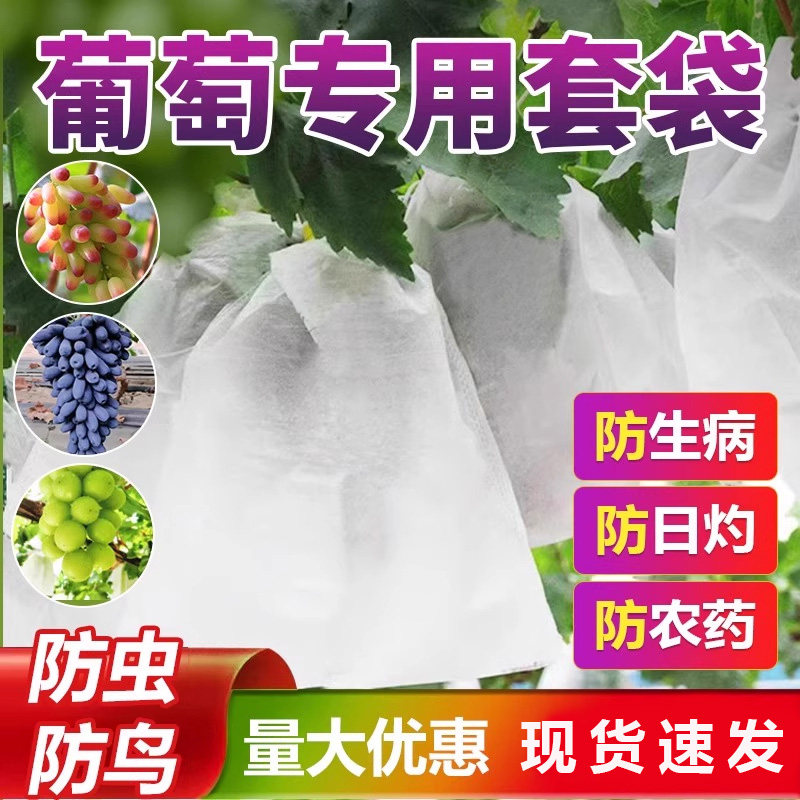 水果套袋防鸟防虫无纺袋西瓜丝瓜苦瓜葡萄石榴枇杷桃子梨子保护袋