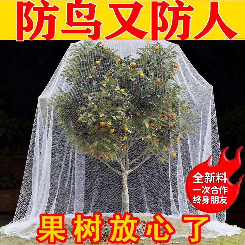 果树防鸟网嘉宝果树防鸟用的网农用防鸟丝网果园天网防鸟罩子阳台