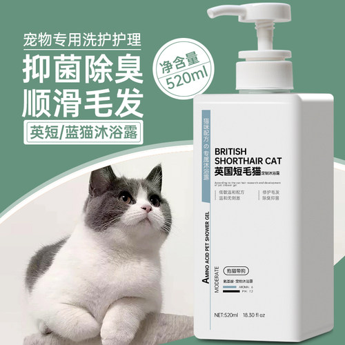 英短蓝猫蓝白银渐层猫咪沐浴露