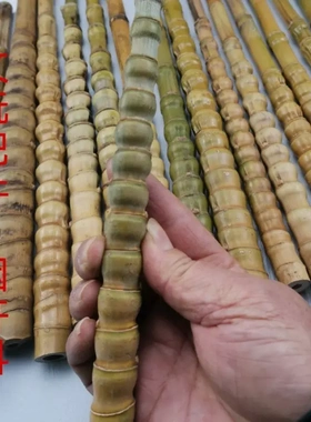 罗汉竹毛料教鞭手仗把件佛肚竹手把材料文玩龟甲竹罗汉竹鱼竿短杆