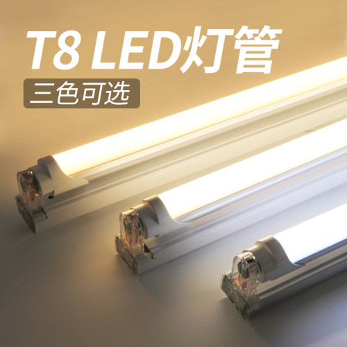 T8LED暖光灯管双端光管日光灯