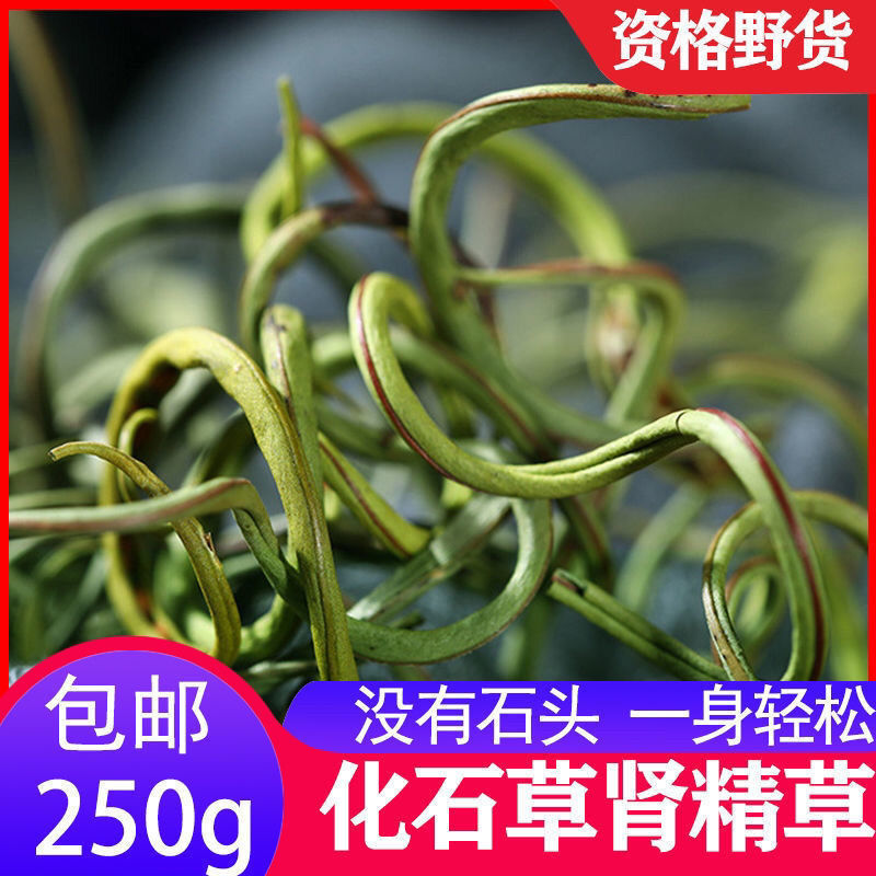 野生化石草中草药正品肾精草云南男性肾精草茶中药材长白山金钱草