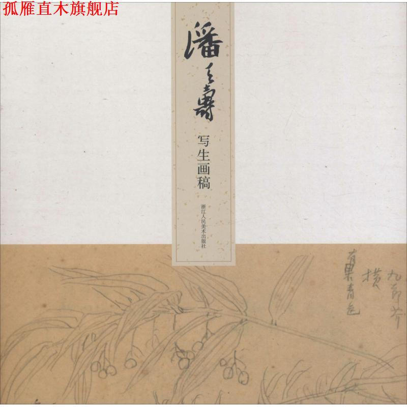 【正版书】 潘天寿写生画稿 本社编 浙江人民美术出版社