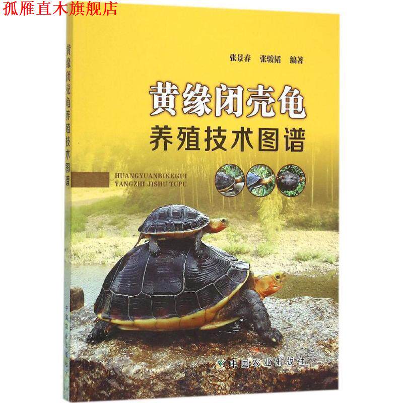 【正版书】 黄缘闭壳龟养殖技术图谱 张景春,张骏韬编著 中国农业出版社