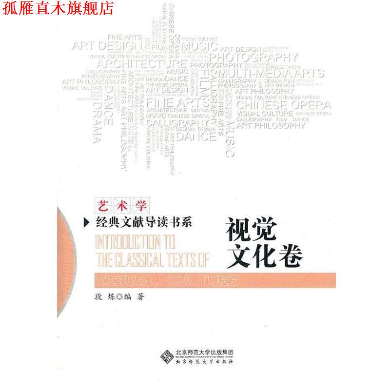 【正版书】 艺术学经典文献导读书系 视觉文化卷 段炼 著 北京师范大学出版集团,北京师范大学出版社