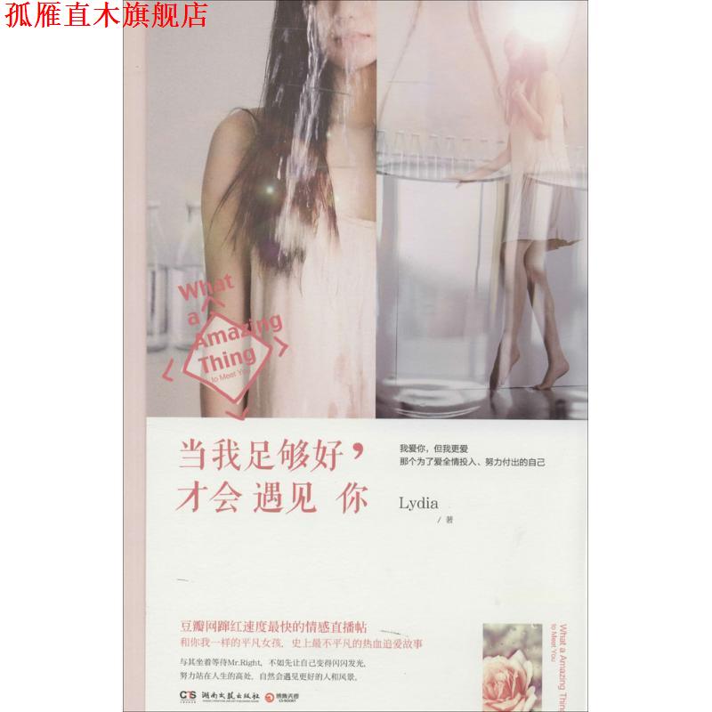 【正版书】 当我足够好,才会遇见你 Lydia 湖南文艺出版社