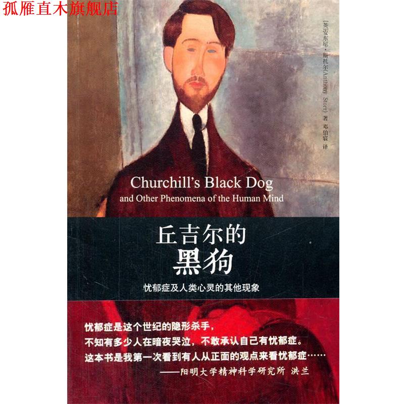 【正版书】 丘吉尔的黑狗-忧郁症及人类心灵的其他现象 (英)斯托尔,邓伯宸 北京大学出版社