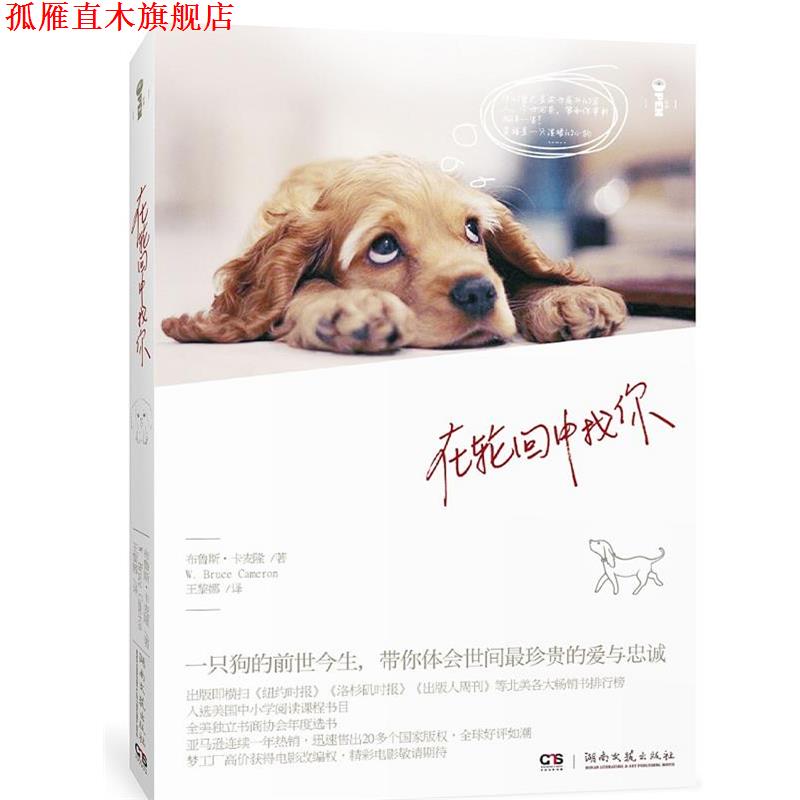 【正版书】 在轮回中找你 (美)卡梅隆 著 , 王黎娜 译 湖南文艺出版社