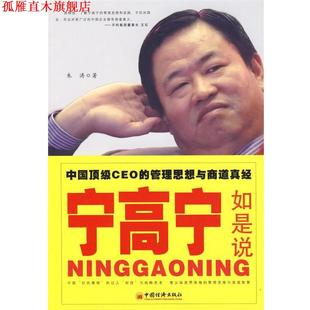 宁高宁如是说 中国CEO 中国经济出版 正版 社 著 书 朱涛 管理思想与商道真经