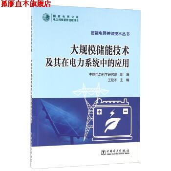 【正版书】 大规模储能技术及其在电力系统中的应用 王松芩,中国电力科学研究院 编 中国电力出版社