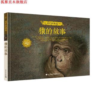 猿 Yves 正版 祖先 More 社 Soizik 故事 书 伊夫·柯本斯 Coppens 法 电子工业出版 著