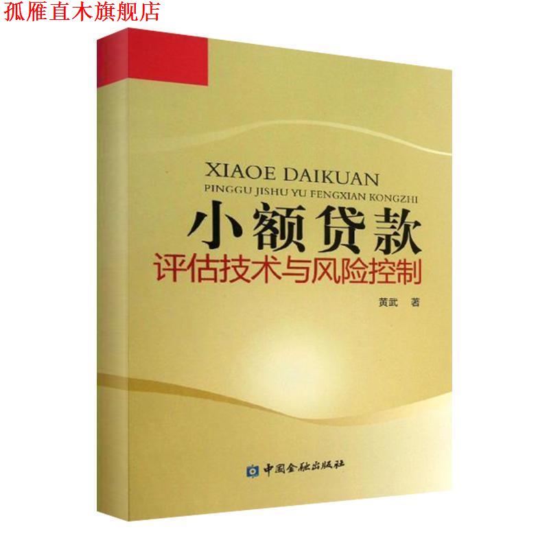 【正版书】 小额贷款评估技术与风险控制 黄武 著 中国金融出版社