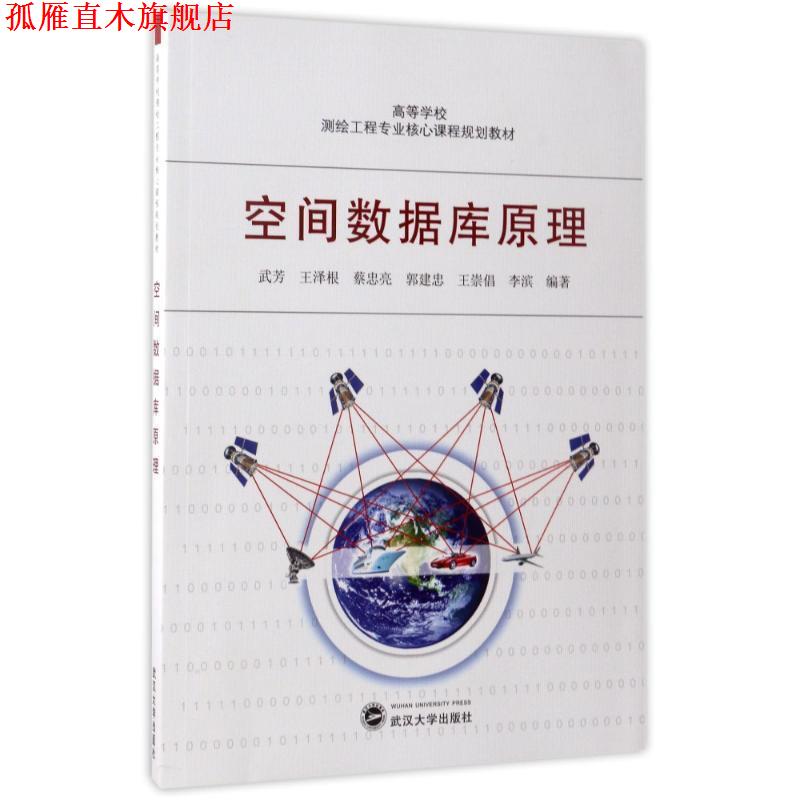 【正版书】 空间数据库原理 武芳,王泽根,蔡忠亮,郭建忠,王崇倡 ... 著 武汉大学出版社