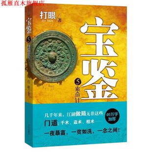 【正版书】 宝鉴5:索命针 打眼 文心出版社