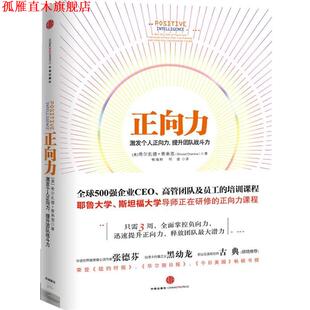 【正版书】 正向力激发个人正向力 提升团队战斗力 [美] 希尔扎德•查米恩 (Shirzad Chamine ) 著 中信出版社
