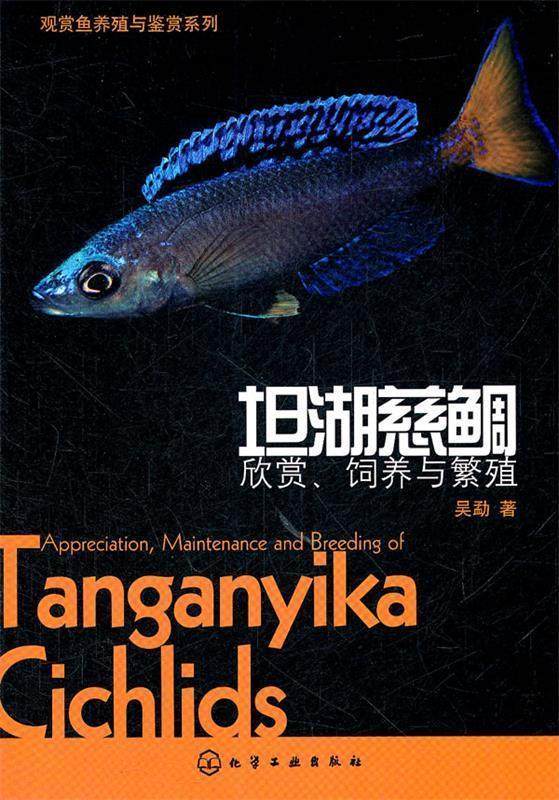 【正版书】 观赏鱼养殖与鉴赏系列--坦湖慈鲷:欣赏、饲养与繁殖 吴勐　著 化学工业出版社