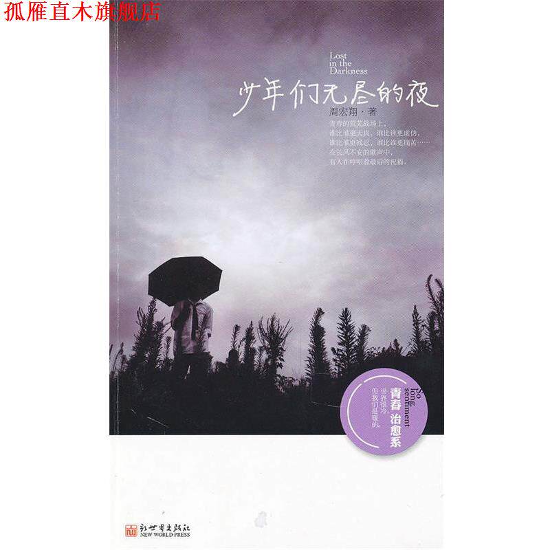 【正版书】 少年们无尽的夜—系列作品 周宏翔 著 新世界出版社