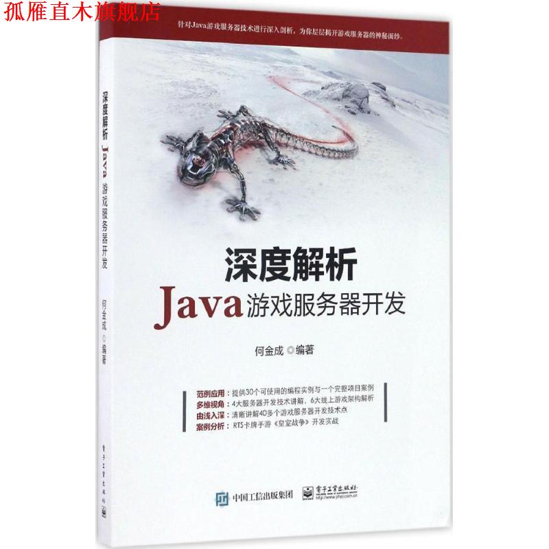 【正版书】 深度解析Java游戏服务器开发 何金成 著 电子工业出版社