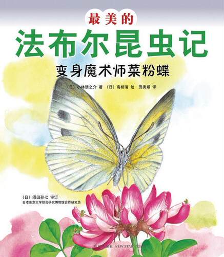 【正版书】 的法布尔昆虫记:变身魔术师菜粉蝶 (日)小林清之介 新星出版社
