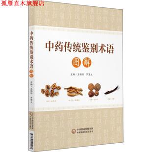 【正版书】 中药传统鉴别术语图解 王锡国,罗贤义 中国医药科技出版社