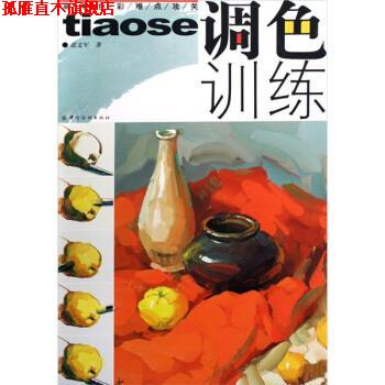 【正版书】 调色训练-高考色彩难点攻关 张文军 著 中国纺织出版社