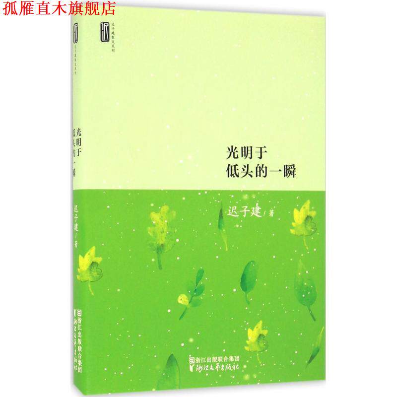 【正版书】 迟子建散文系列:光明于低头的一瞬 迟子建 著 浙江文艺出版社