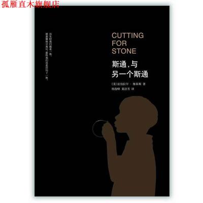 【正版书】 斯通，与另一个斯通 [美] 亚伯拉罕.维基斯 南海出版公司出版社