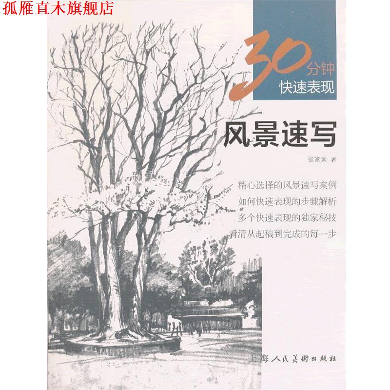 【正版书】 风景速写---30分钟表现 张家素 上海人民美术出版社