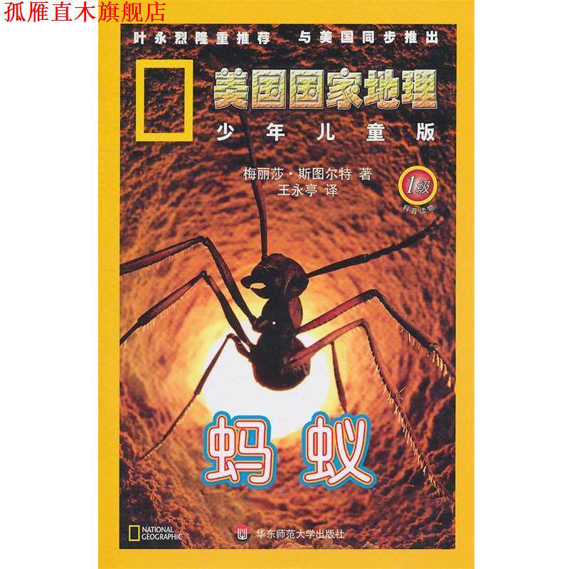 【正版书】 美国国家地理:蚂蚁 (美)梅丽莎·斯图尔特 著,王永亭 译 华东师范大学出版社
