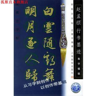 赵孟頫行书墨迹 新概念字帖 江理平 上海画报出版 书 编著 社 正版