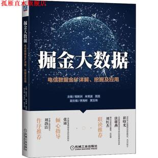 【正版书】 掘金大数据 电信数据金矿详解、挖掘及应用 程新洲,朱常波,晁昆 机械工业出版社