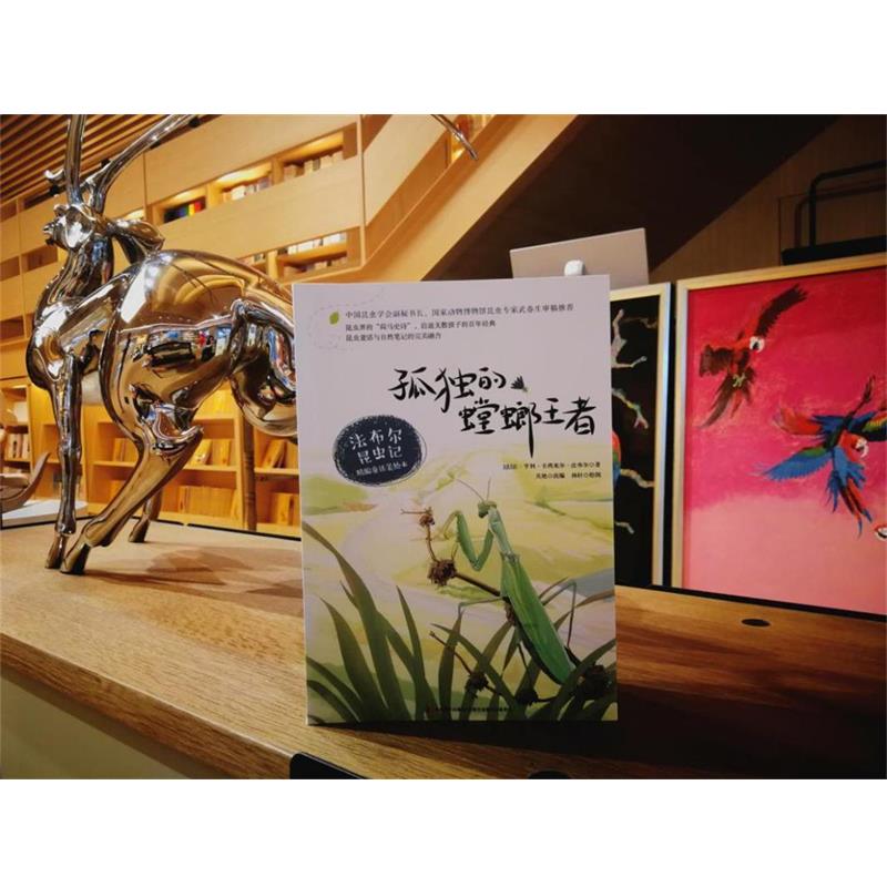 【正版书】 法布尔昆虫记：孤独的螳螂 让·亨利·卡西米尔·法布尔(Jean-HenriCasimirFabr 吉林美术出版社