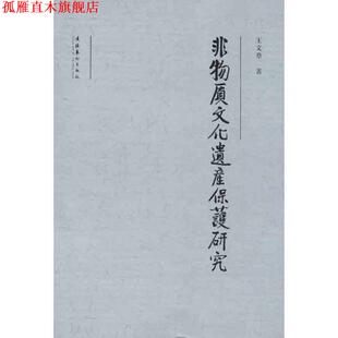 【正版书】 非物质文化遗产保护研究 王文章　著 文化艺术出版社