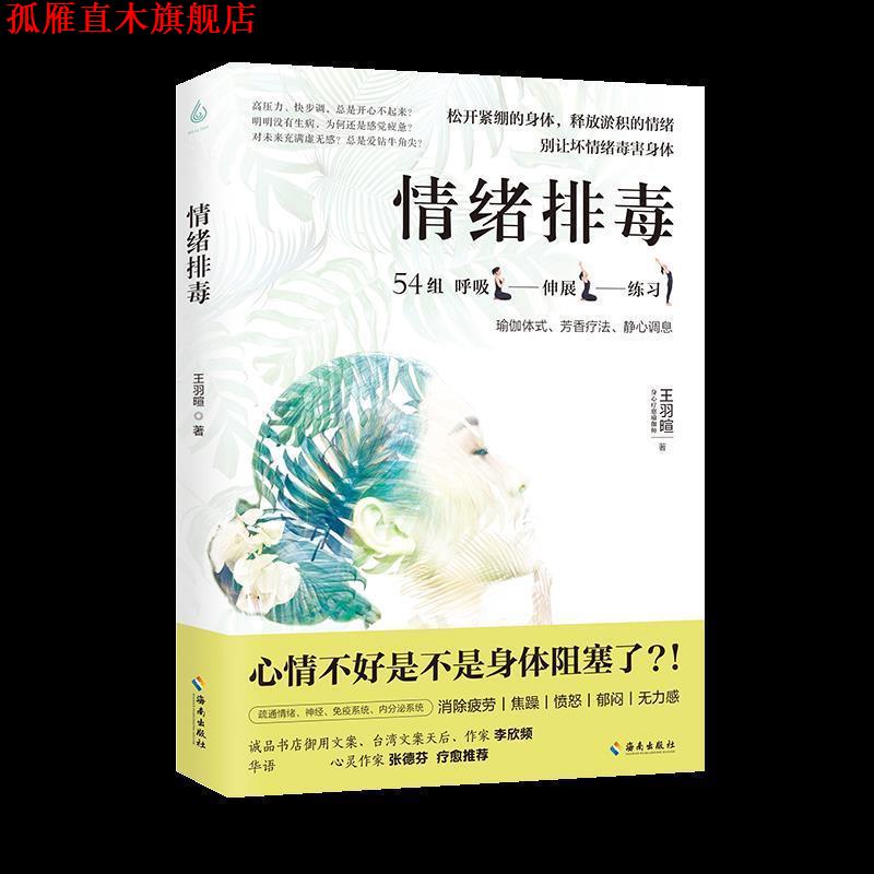 【正版书】 情绪 王羽暄 海南出版社有限公司