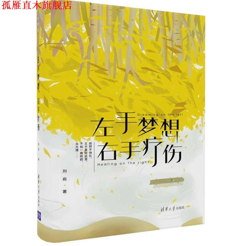 【正版书】 左手梦想，右手疗伤 刘岩 清华大学出版社